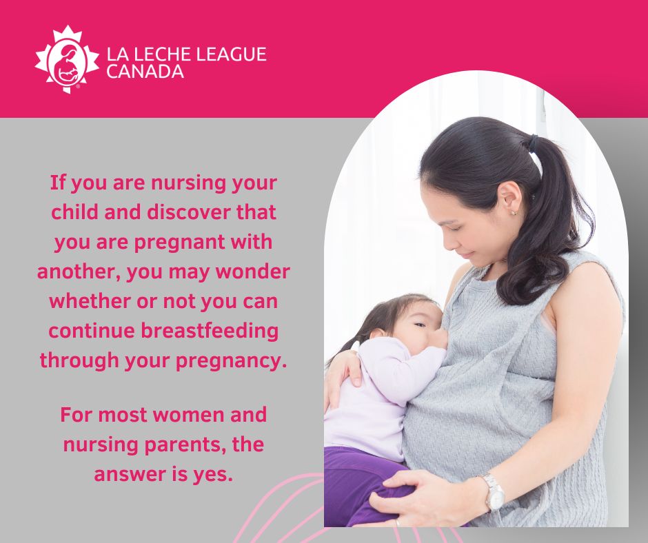 Breastfeeding Through Pregnancy La Leche League Canada Breastfeeding Support And Information